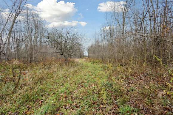 8.17 Acres of Residential Land for Sale in Bangor, Michigan