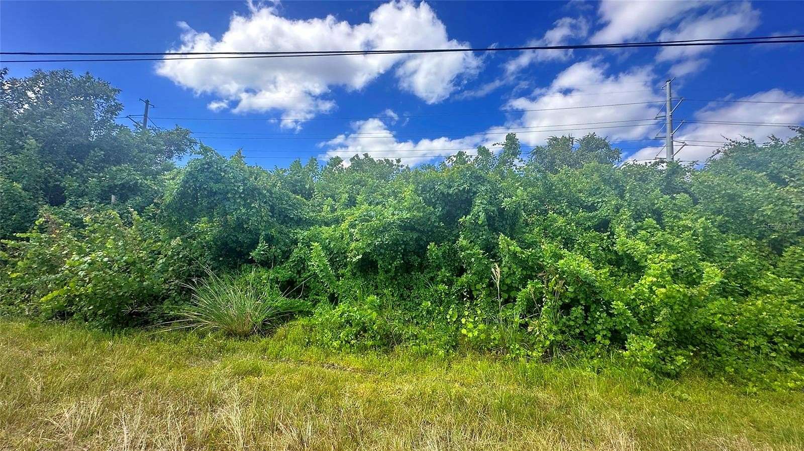 0.23 Acres of Commercial Land for Sale in Cape Coral, Florida