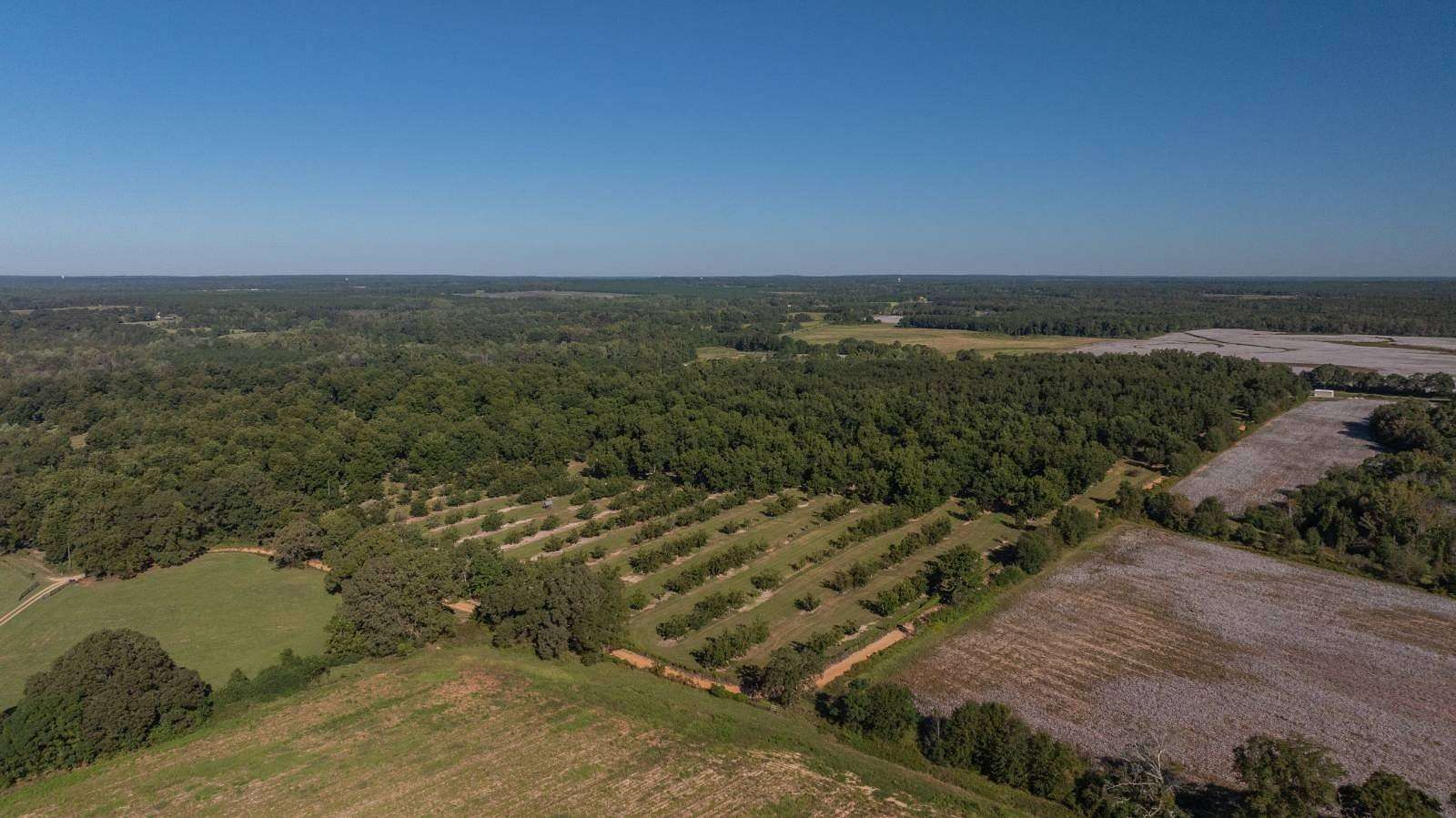 170 Acres of Recreational Land & Farm for Sale in Richland, Georgia