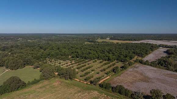 170 Acres of Recreational Land & Farm for Auction in Richland, Georgia