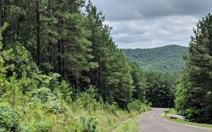 1.53 Acres of Residential Land for Sale in Ellijay, Georgia