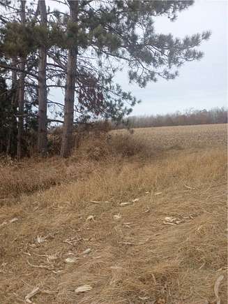 36.5 Acres of Land for Sale in Shell Lake, Wisconsin