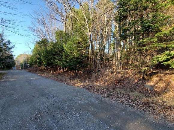 44.4 Acres of Recreational Land for Sale in Milo, Maine