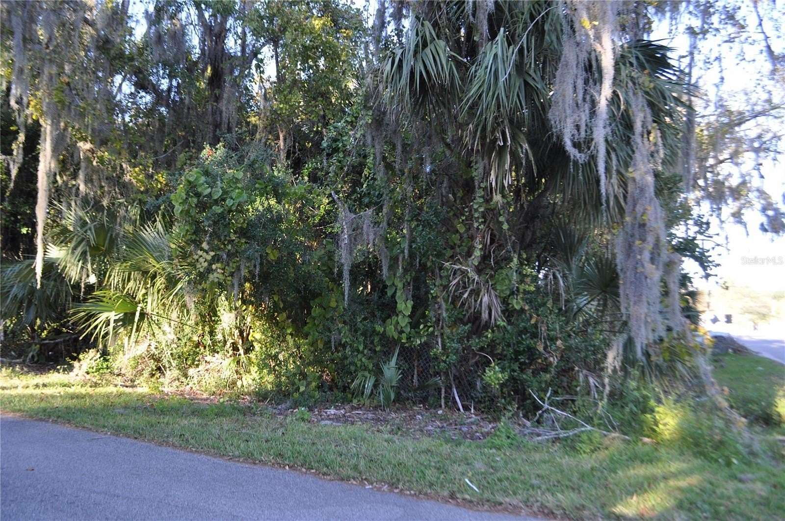 0.23 Acres of Residential Land for Sale in Bunnell, Florida