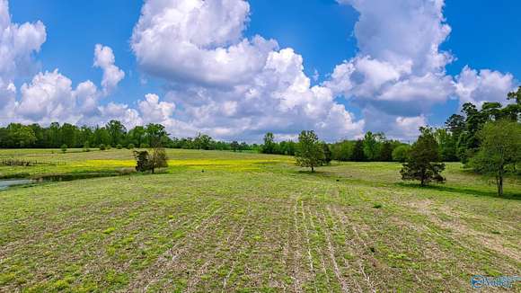 22.19 Acres of Land for Sale in Dawson, Alabama