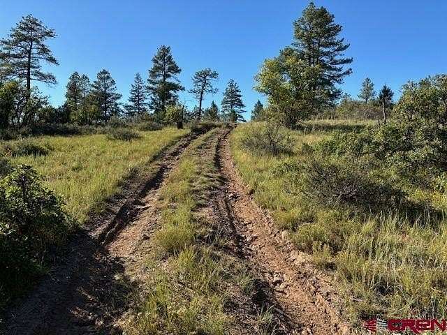 0.41 Acres of Residential Land for Sale in Pagosa Springs, Colorado