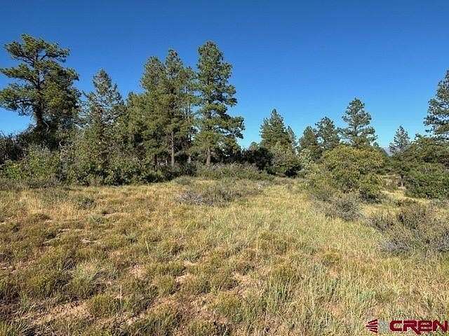 0.41 Acres of Residential Land for Sale in Pagosa Springs, Colorado