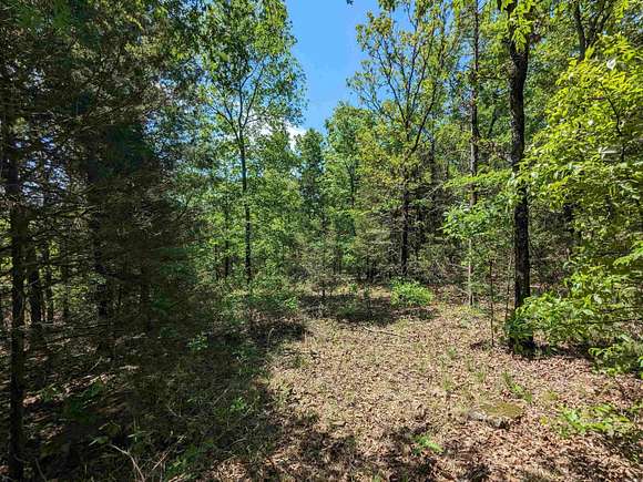 2.52 Acres of Residential Land for Sale in Cecil, Arkansas