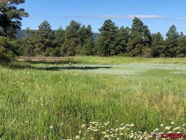 0.42 Acres of Residential Land for Sale in Pagosa Springs, Colorado