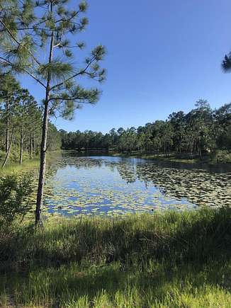 0.39 Acres of Residential Land for Sale in Panama City Beach, Florida