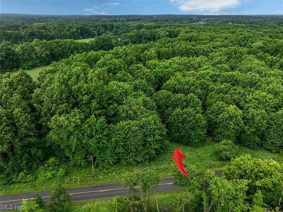 17.99 Acres of Land for Sale in Lodi, Ohio