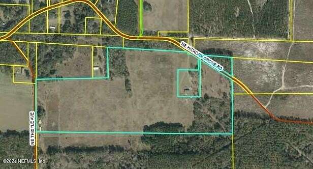 46.95 Acres of Agricultural Land for Sale in Pinetta, Florida