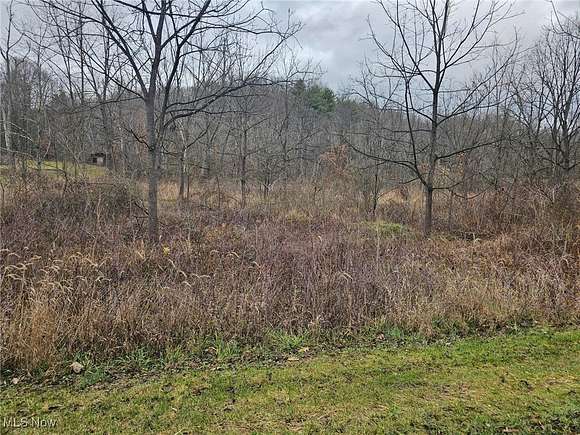 9.43 Acres of Residential Land for Sale in Hopedale, Ohio