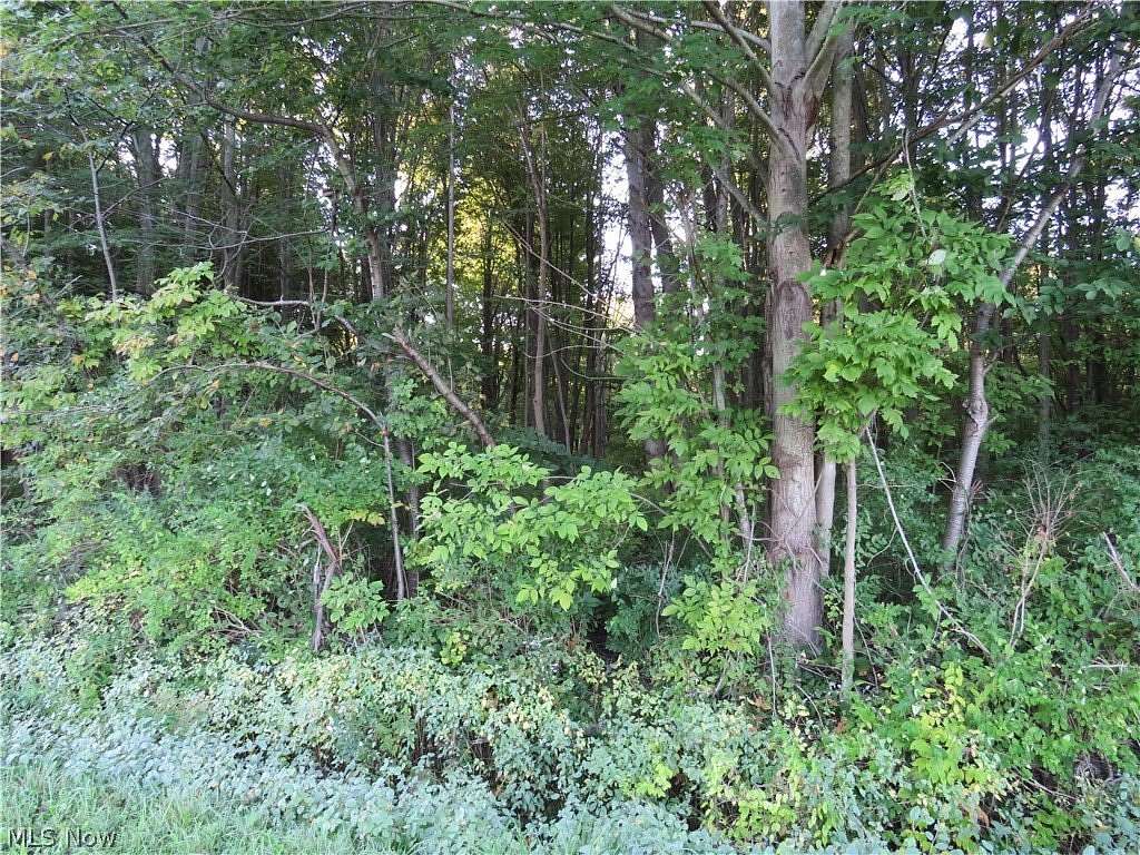 1.36 Acres of Residential Land for Sale in North Kingsville, Ohio