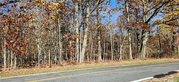 9.31 Acres of Land for Sale in Madison, Ohio