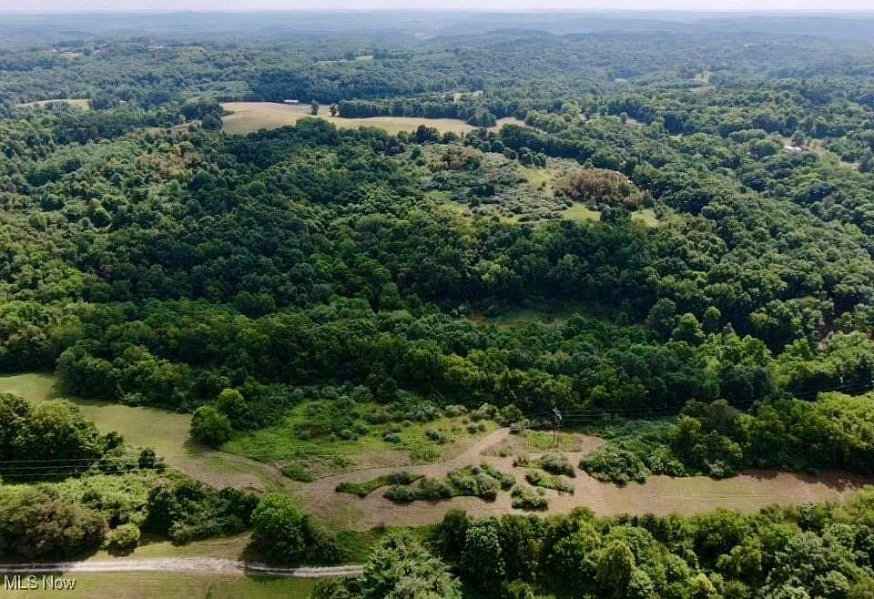 53.91 Acres of Recreational Land for Sale in Cambridge, Ohio