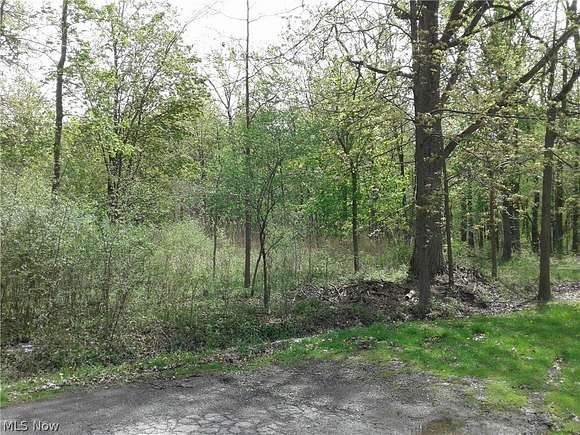 0.2 Acres of Residential Land for Sale in Sheffield Lake, Ohio