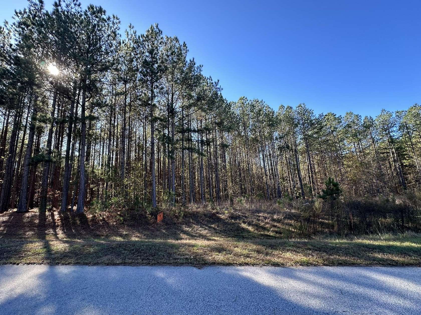 1.3 Acres of Residential Land for Sale in Tignall, Georgia