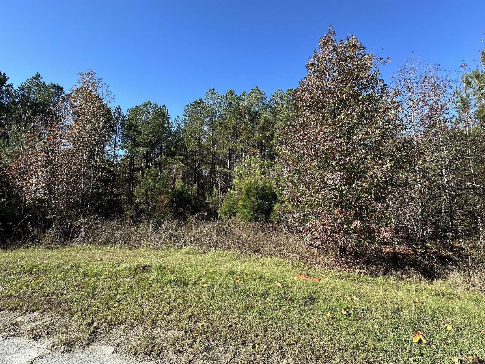 2.57 Acres of Residential Land for Sale in Tignall, Georgia