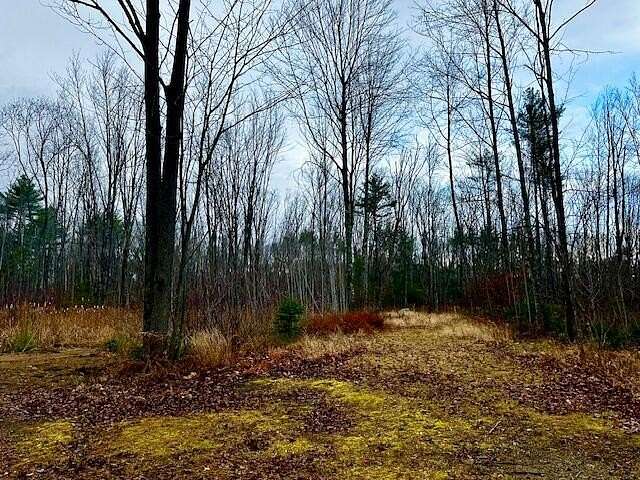 46 Acres of Land for Sale in Lyman Town, Maine