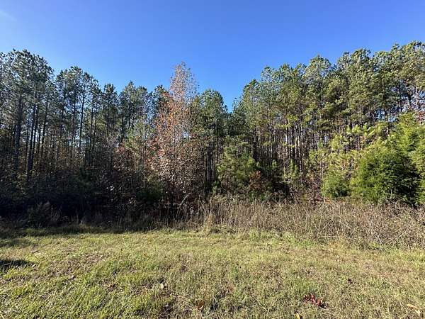 1.3 Acres of Residential Land for Sale in Tignall, Georgia