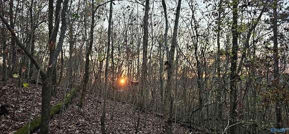 8 Acres of Residential Land for Sale in Guntersville, Alabama