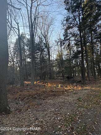 0.41 Acres of Residential Land for Sale in Newfoundland, Pennsylvania