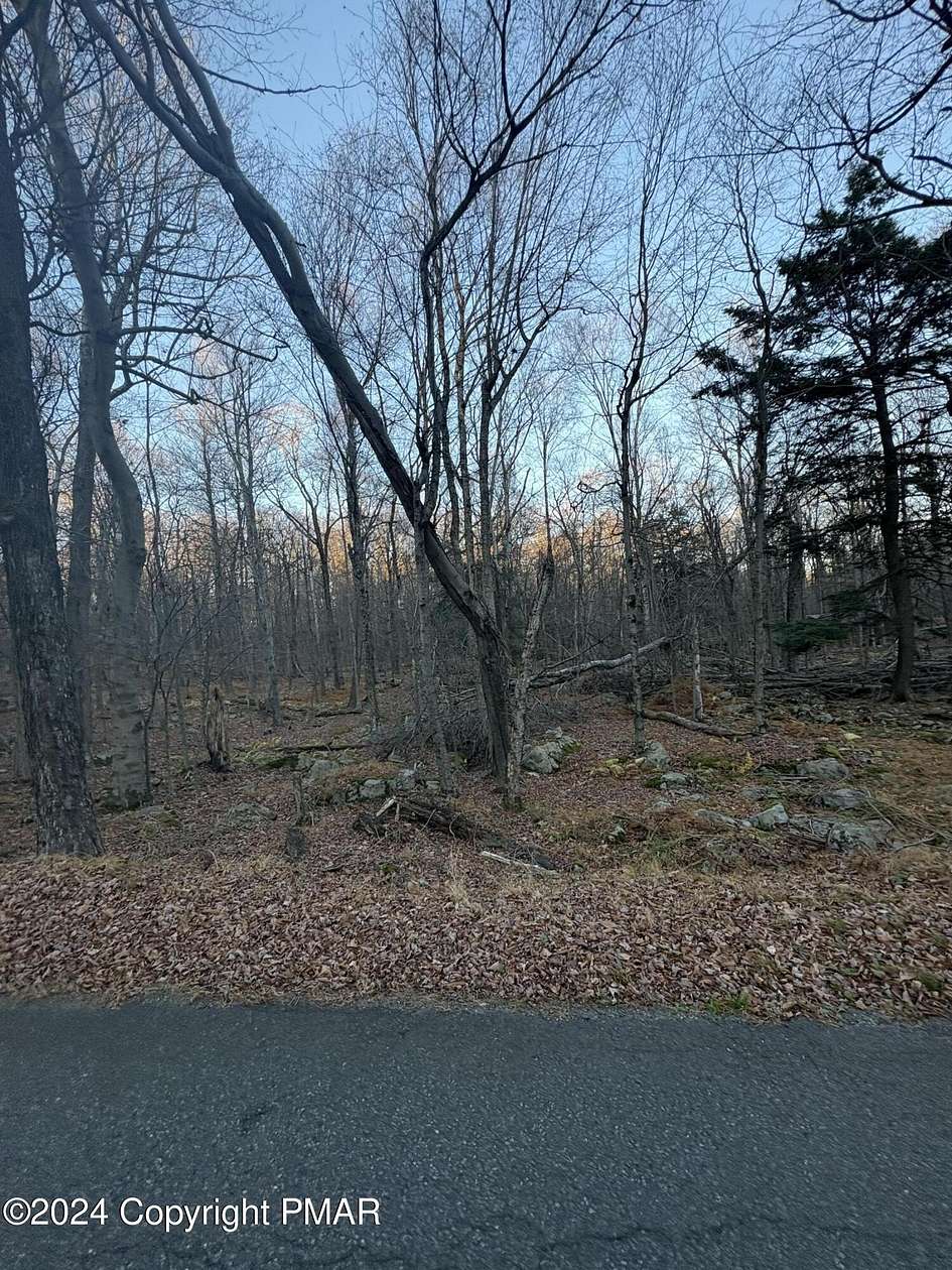 0.68 Acres of Residential Land for Sale in Newfoundland, Pennsylvania