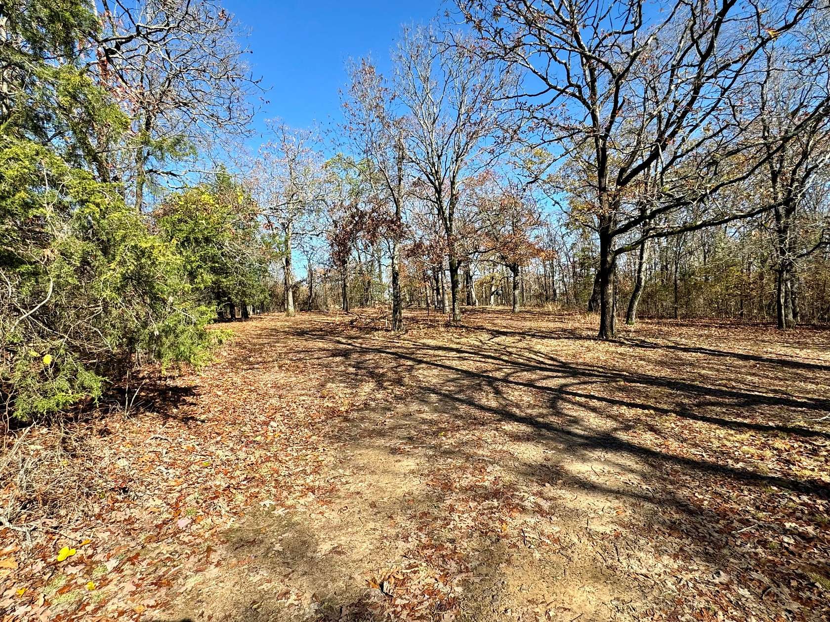 11.88 Acres of Recreational Land with Home for Auction in Chester, Arkansas