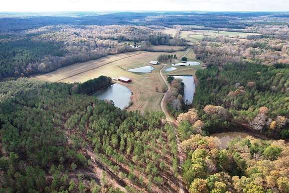 360 Acres of Recreational Land & Farm for Sale in Henderson, Tennessee