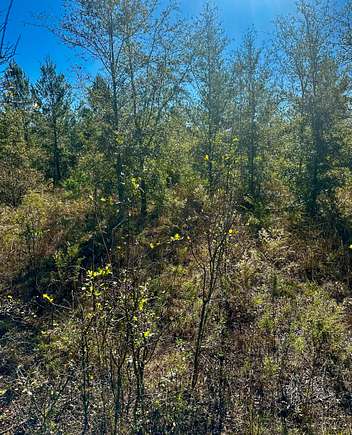 5.01 Acres of Land with Home for Sale in Lee, Florida