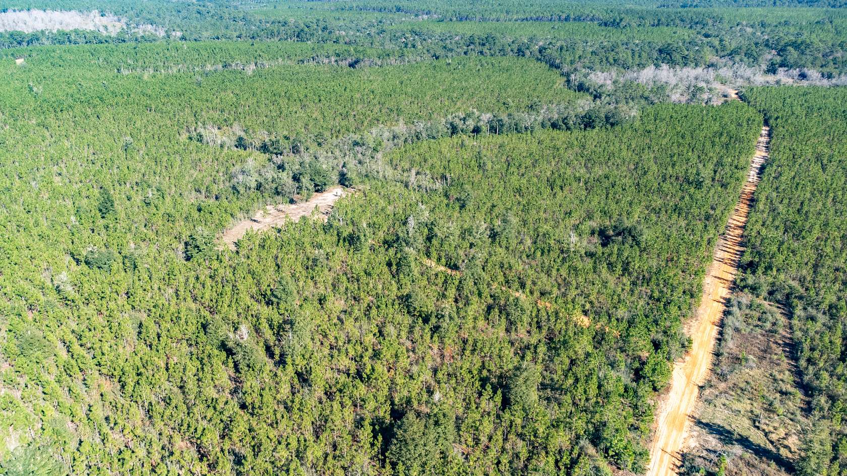 1,515 Acres of Recreational Land & Farm for Sale in DeFuniak Springs, Florida