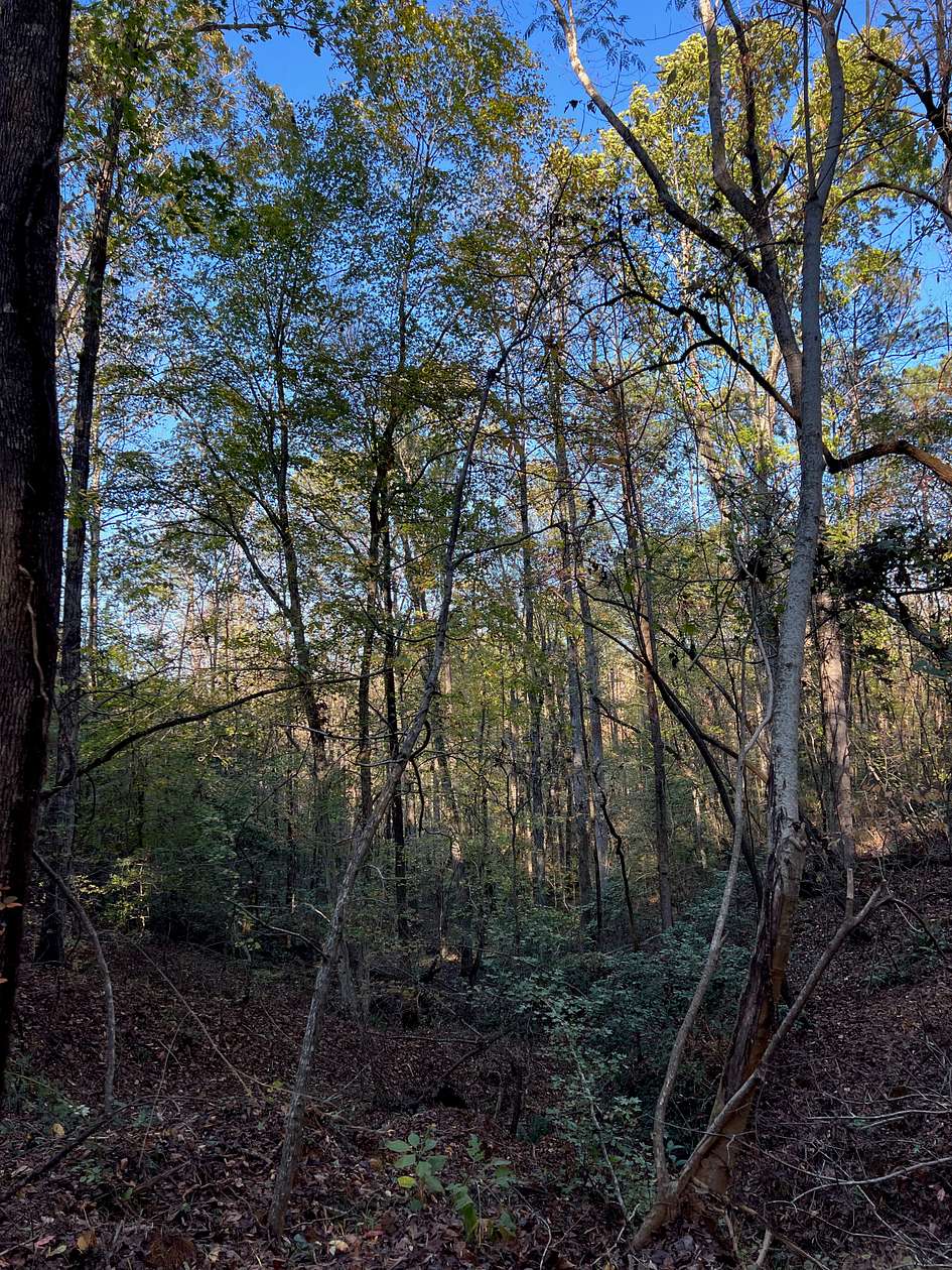 136 Acres of Recreational Land for Sale in Marion, Alabama