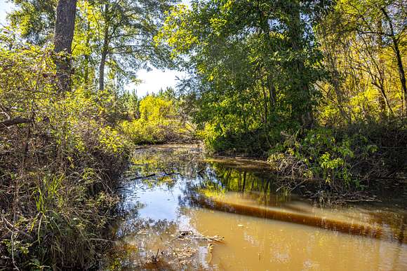 20 Acres of Recreational Land for Sale in Osyka, Mississippi