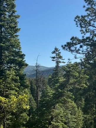 27.41 Acres of Recreational Land & Farm for Sale in Chama, New Mexico