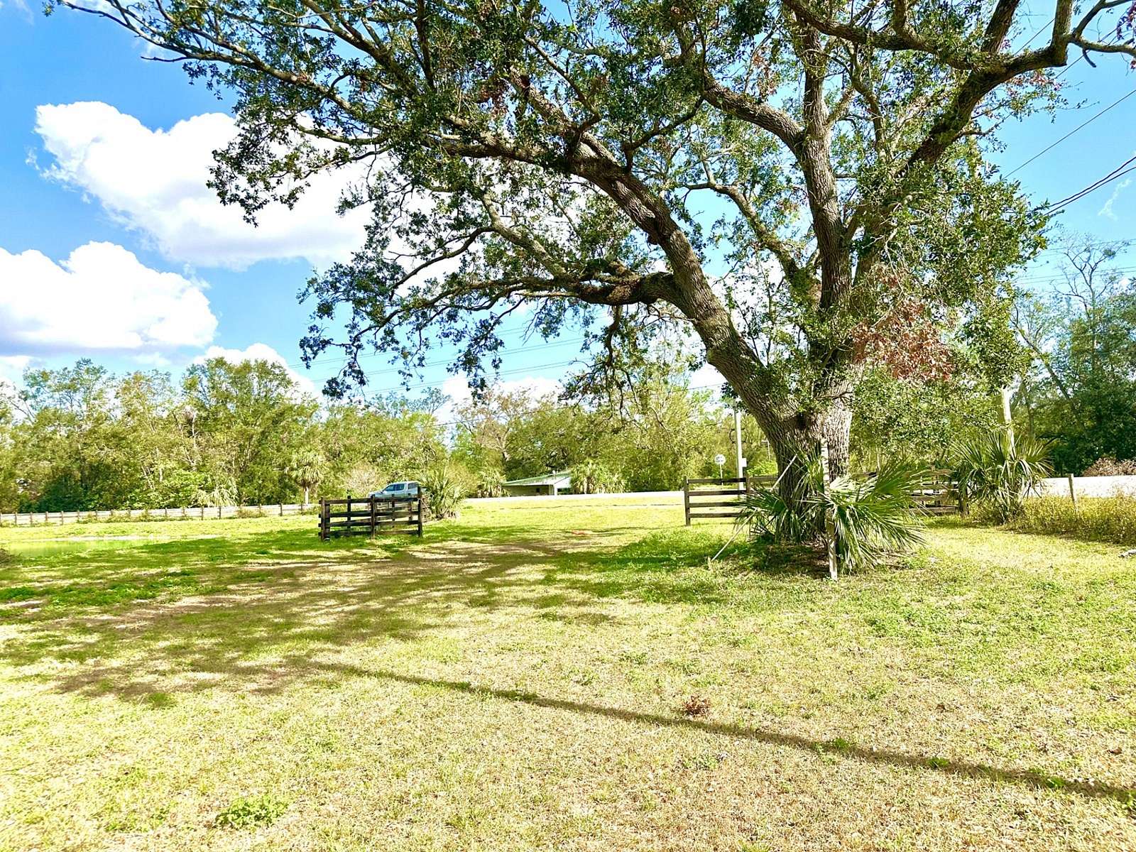 9.76 Acres of Land for Sale in Mayo, Florida