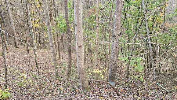 0.702 Acres of Residential Land for Sale in Smithville, Tennessee