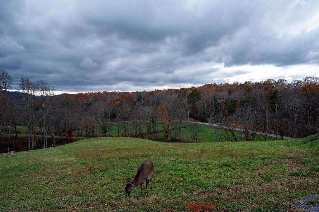 1.76 Acres of Residential Land for Sale in Morganton, Georgia