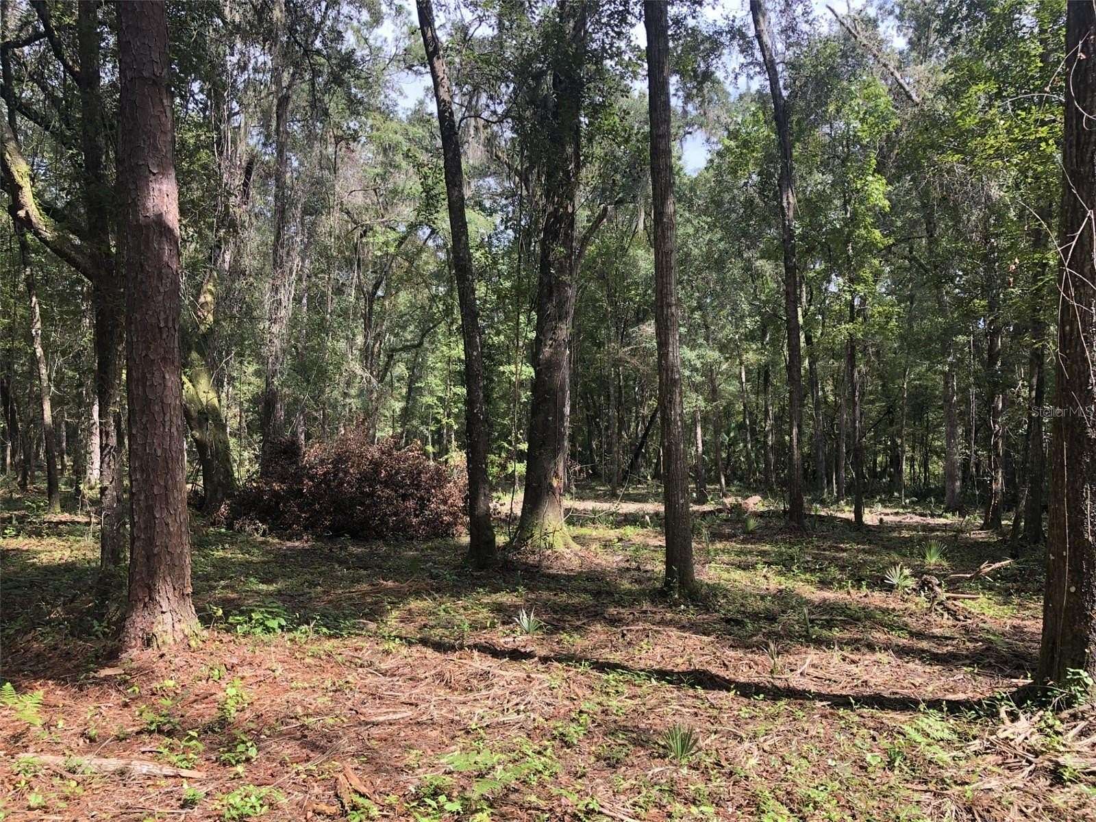 1 Acre of Land for Sale in Bronson, Florida