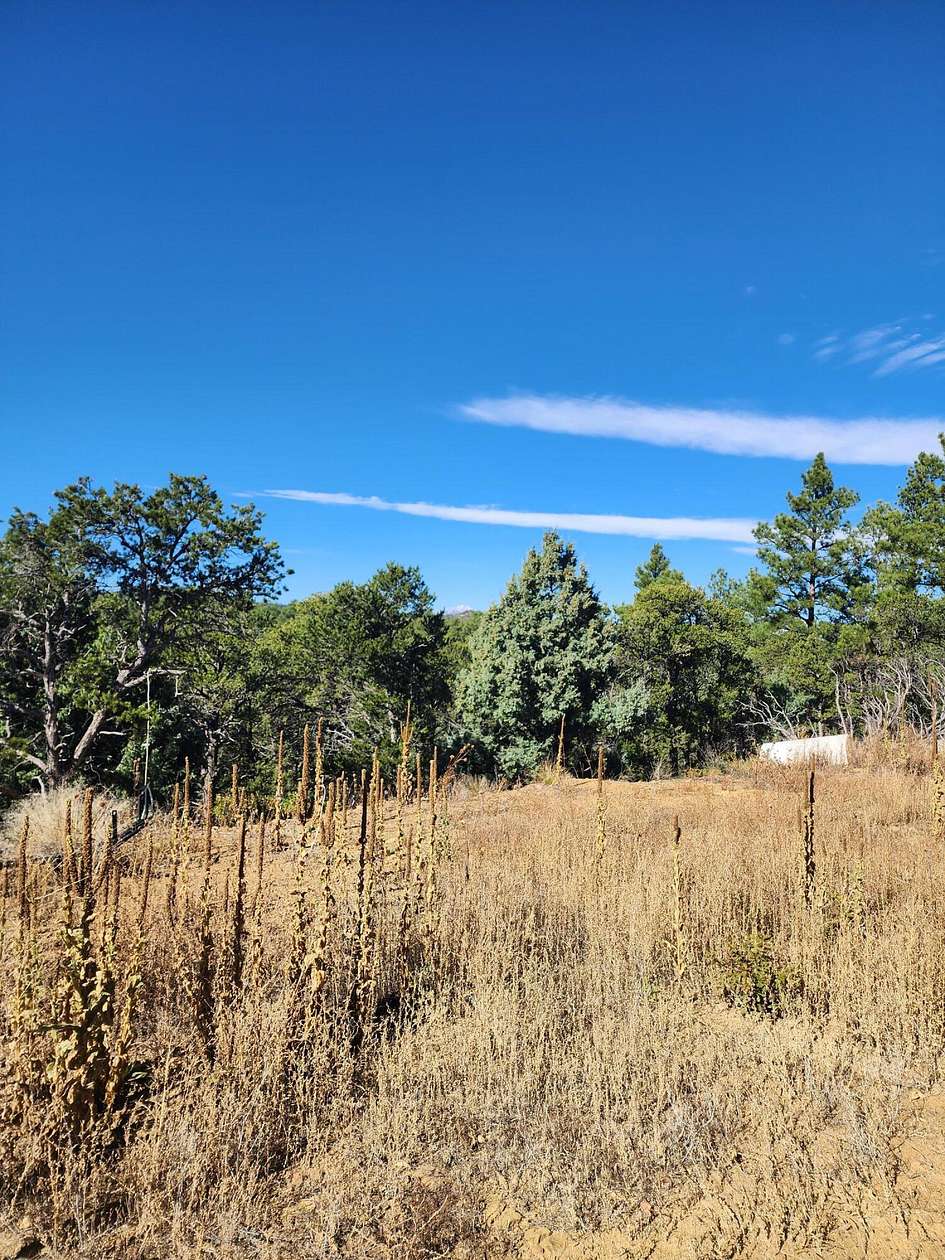 40 Acres of Land for Sale in Trinidad, Colorado