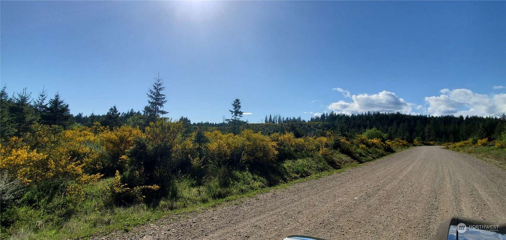 36 Acres of Recreational Land for Sale in Shelton, Washington