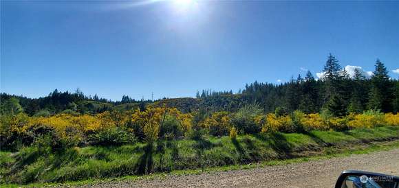 40 Acres of Recreational Land for Sale in Shelton, Washington