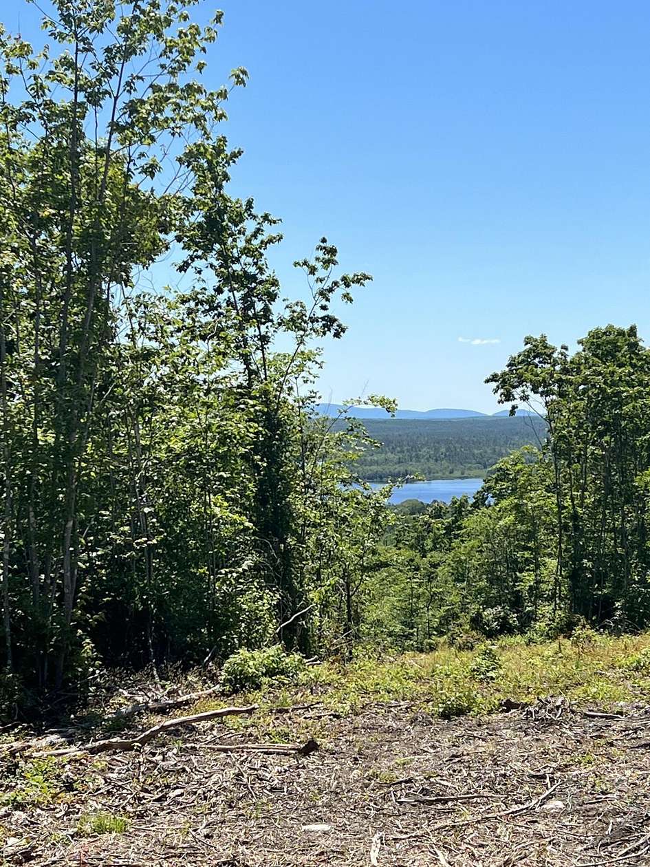 18.5 Acres of Land for Sale in Orland, Maine