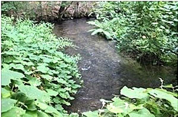 1.84 Acres of Land for Sale in Plymouth, Massachusetts