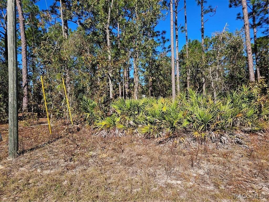 0.38 Acres of Land for Sale in Dunnellon, Florida