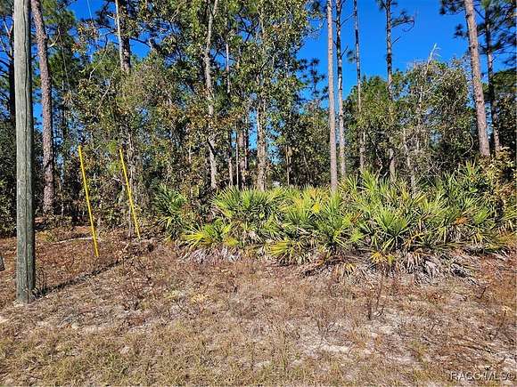 0.38 Acres of Land for Sale in Dunnellon, Florida