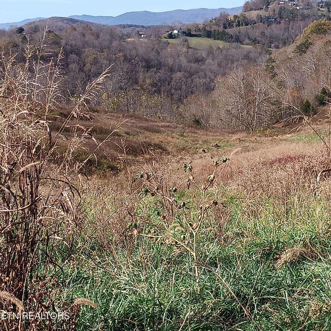 20 Acres of Agricultural Land for Sale in Cumberland Gap, Tennessee