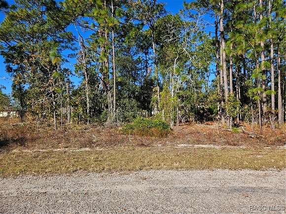 0.28 Acres of Land for Sale in Dunnellon, Florida