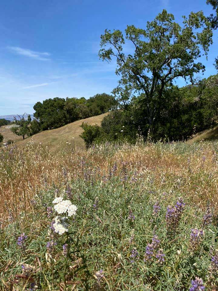 147 Acres of Recreational Land for Sale in San Jose, California