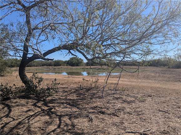 1,440 Acres of Recreational Land for Sale in San Diego, Texas